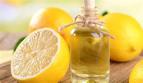limon yağlı saça faydaları